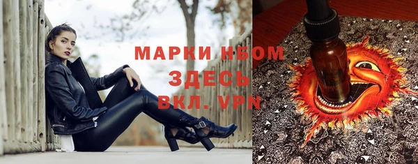 скорость Новозыбков